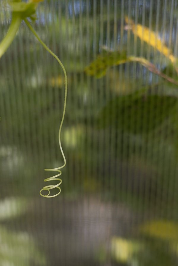 How Do Adaptive Devices Enhance Daily Activities for People with Rheumatoid Arthritis?